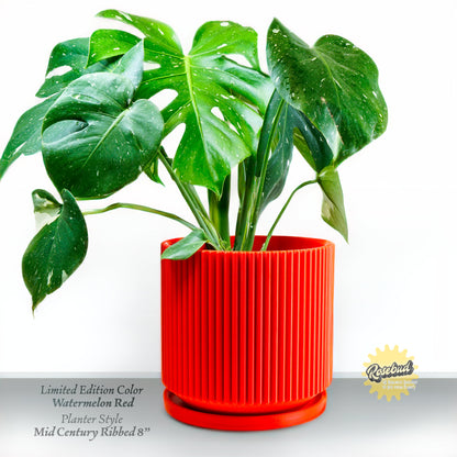 Mid-Century Ribbed Planter | 3D Printed Modern Plant Pot – Pots & Planters