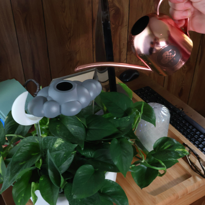 Stormy Dripping Rain Cloud with Glow in the Dark Moon Charm – House Plant Accessory