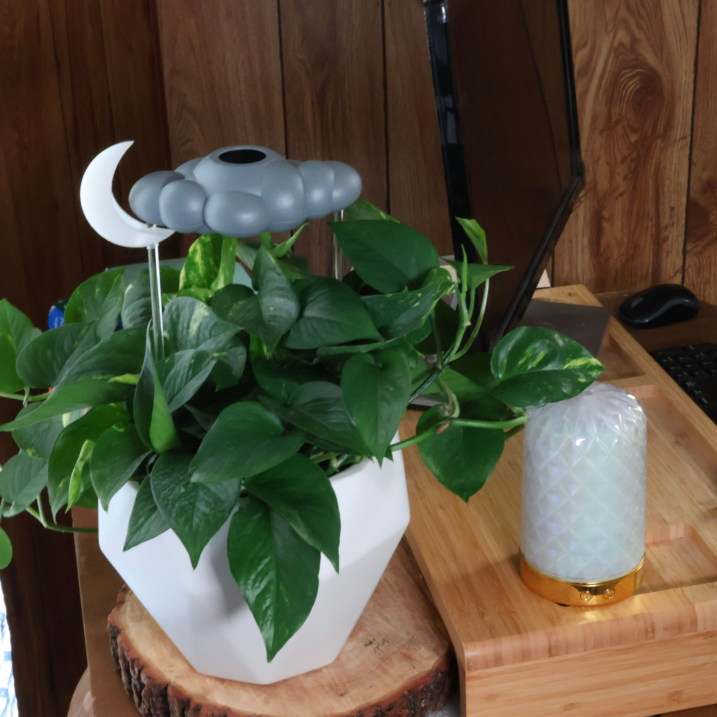 Stormy Dripping Rain Cloud with Glow in the Dark Moon Charm – House Plant Accessory