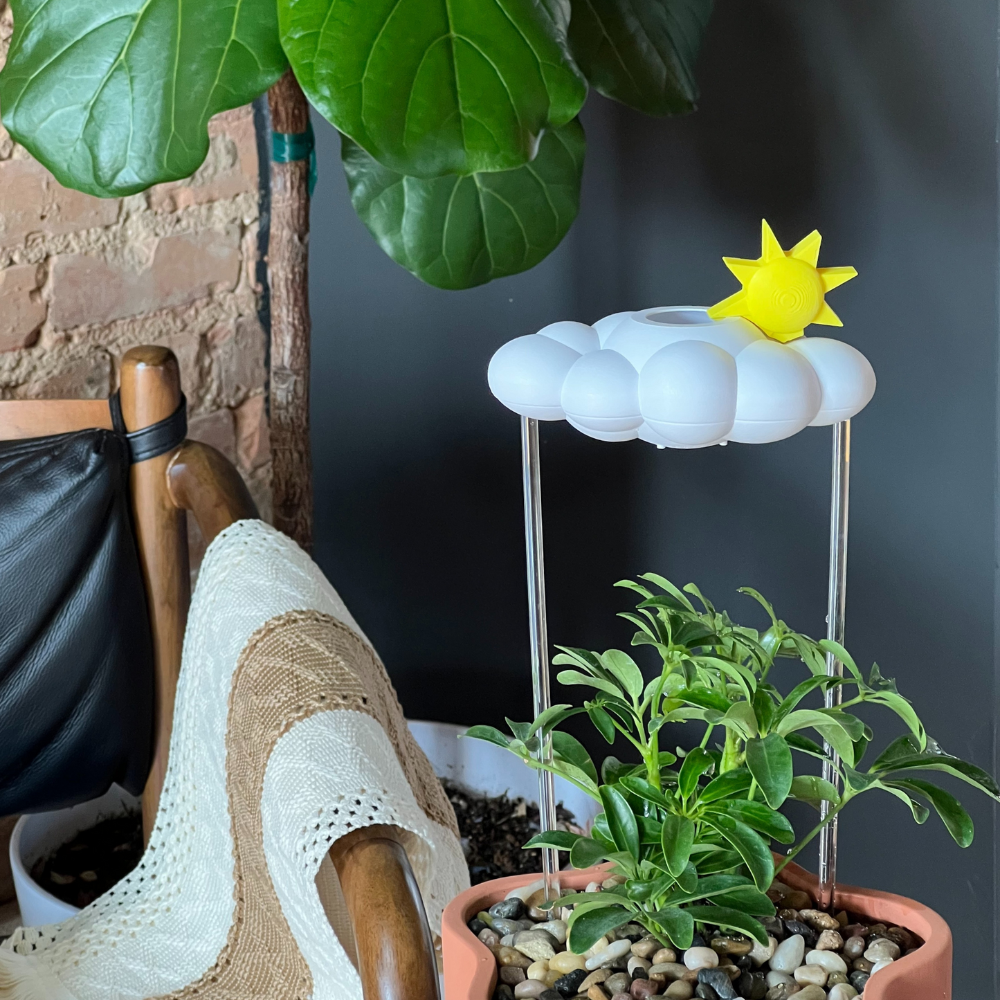 Original Dripping Rain Cloud with Sun Charm – houseplant accessory