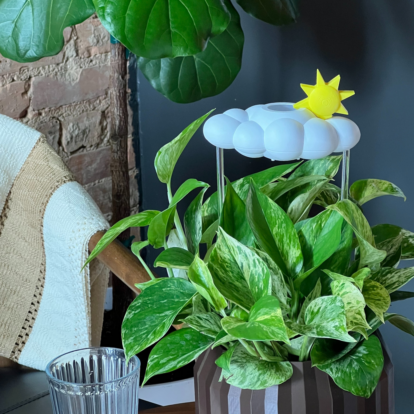 Original Dripping Rain Cloud with Sun Charm – houseplant accessory