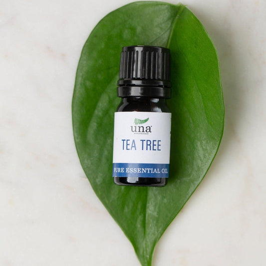 Tea Tree Essential Oil| Pure Essential Oil| Una Biologicals – Essential Oil
