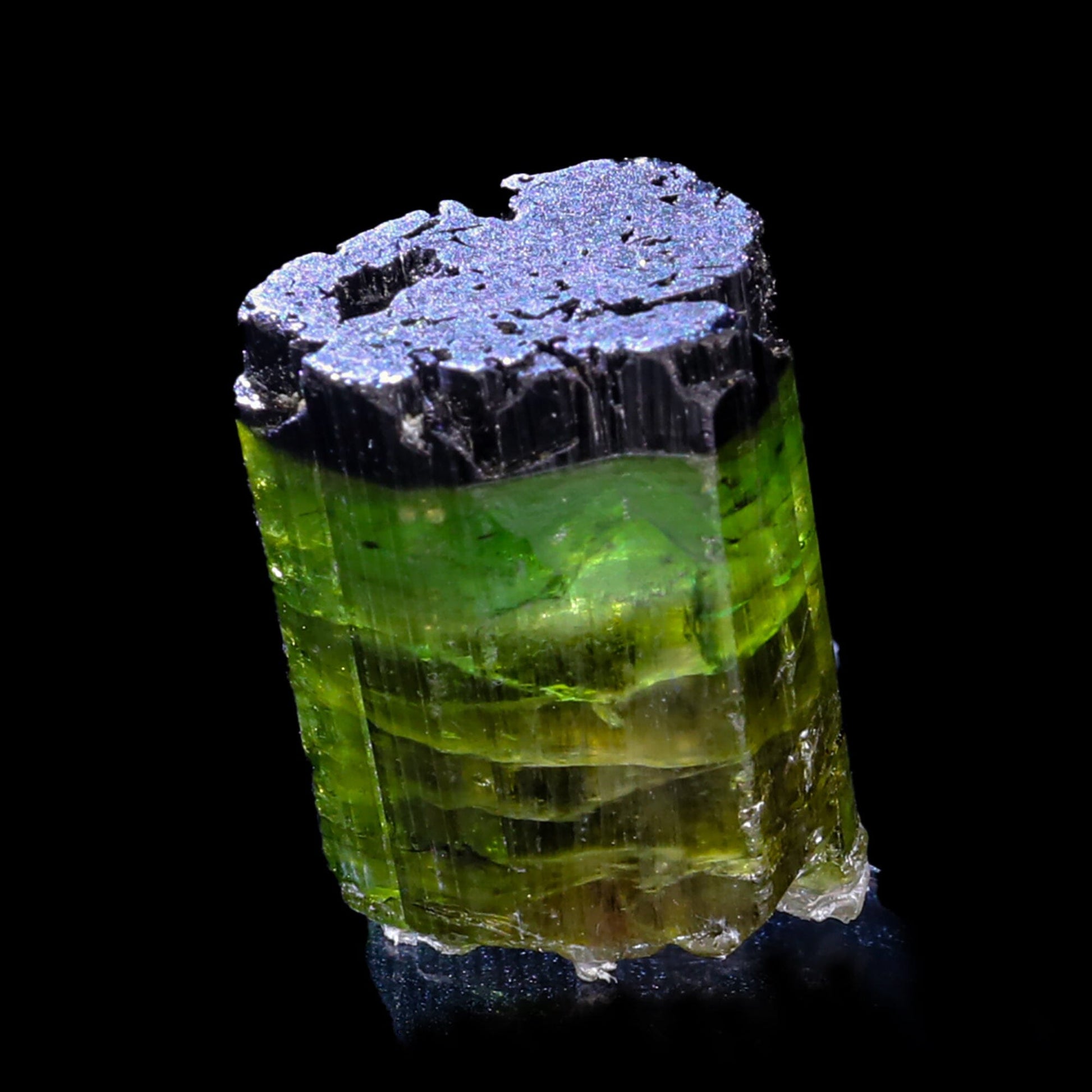 Terminated Deep Green Tourmaline Natural Mineral Specimen –