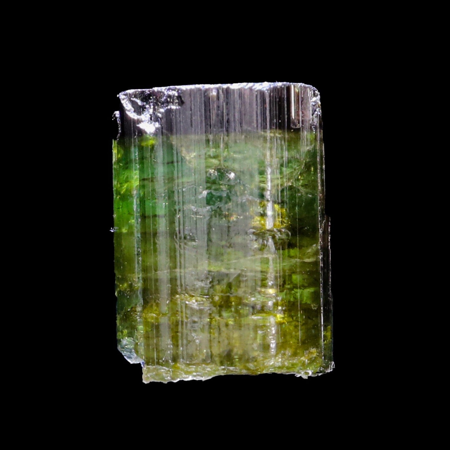 Terminated Deep Green Tourmaline Natural Mineral Specimen –