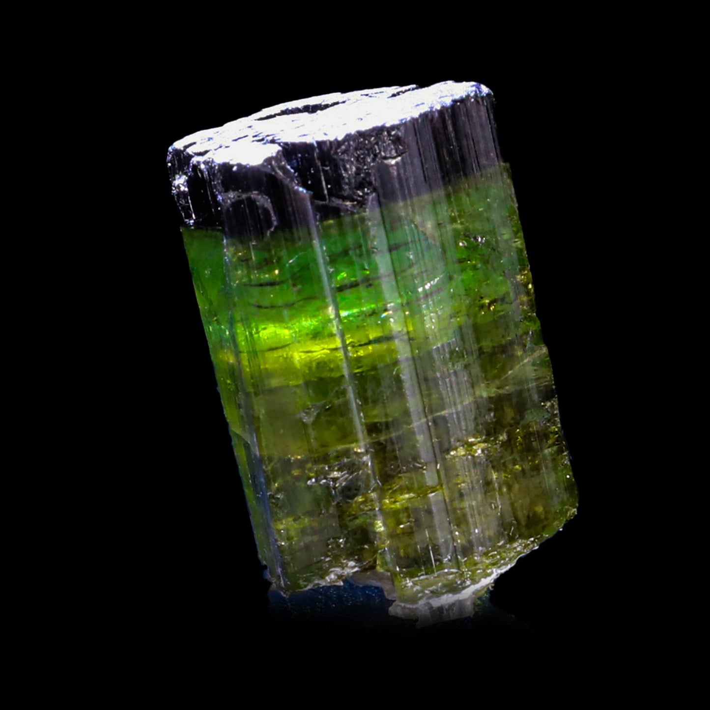 Terminated Deep Green Tourmaline Natural Mineral Specimen –