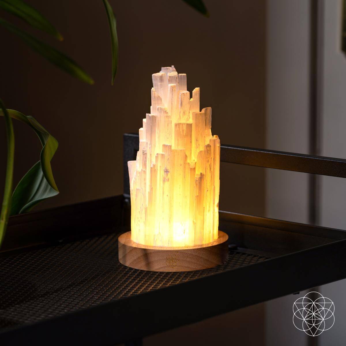 Selenite Lamp – 3 lb Healing Crystal Light, Ethically Sourced – Night Light
