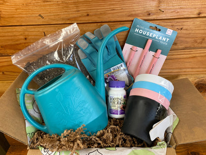 Houseplant Starter Box – Complete Indoor Plant Care Kit