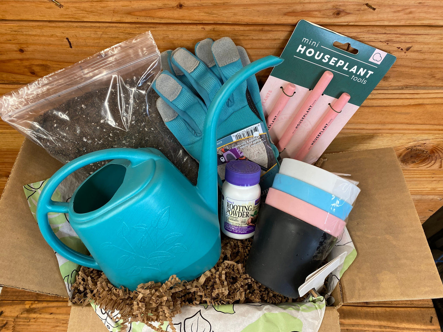 Houseplant Starter Box – Complete Indoor Plant Care Kit