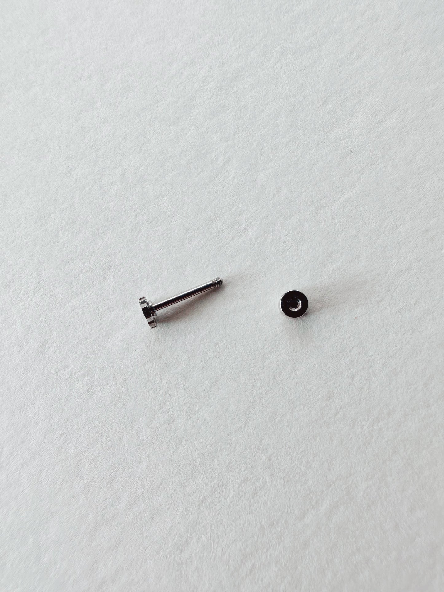 Flat Back Teeny Tiny Monstera Deliciosa Plant Studs