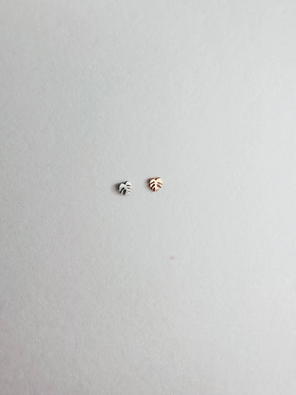 Flat Back Teeny Tiny Monstera Deliciosa Plant Studs