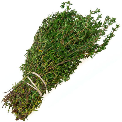 English Thyme Seeds (Organic) – Vegetable Seeds