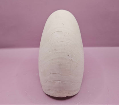 Tiger Nautilus Shell – Striking Natural Ocean Decor (7")