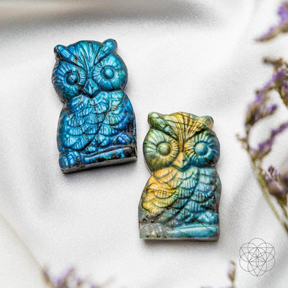 Labradorite Owl Talisman - Token of Wisdom -