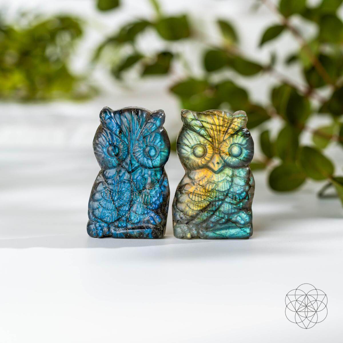Labradorite Owl Talisman - Token of Wisdom -