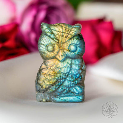 Labradorite Owl Talisman - Token of Wisdom -