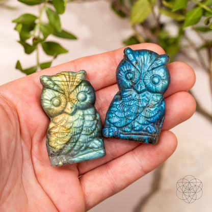 Labradorite Owl Talisman - Token of Wisdom -