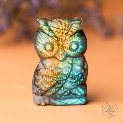 Labradorite Owl Talisman - Token of Wisdom -