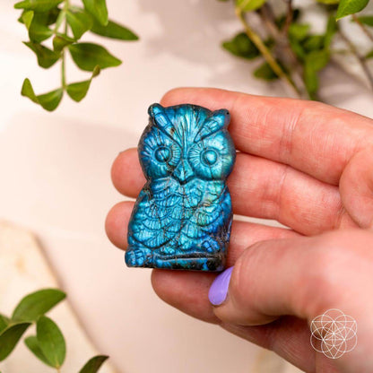 Labradorite Owl Talisman - Token of Wisdom -