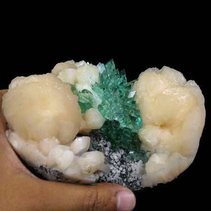 Top Rare Green Floral Apophyllite with Stilbite Natural Mineral Specimen USA – Apohyllite