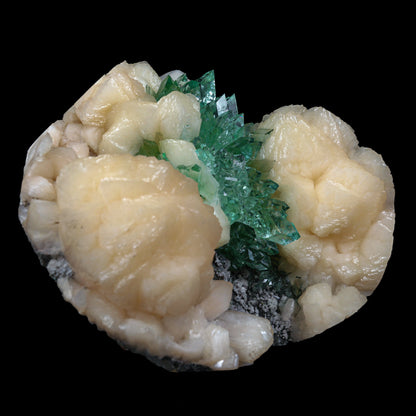 Top Rare Green Floral Apophyllite with Stilbite Natural Mineral Specimen USA – Apohyllite