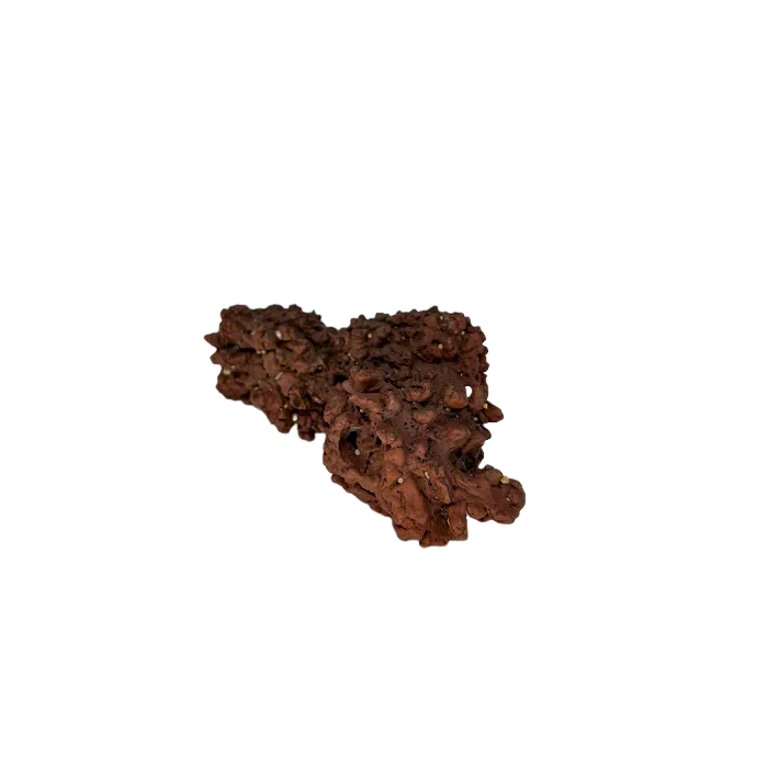 Giant Coprolite – Rocks & Fossils