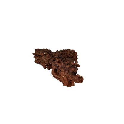Giant Coprolite – Rocks & Fossils