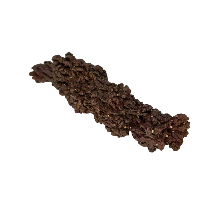 Giant Coprolite – Rocks & Fossils