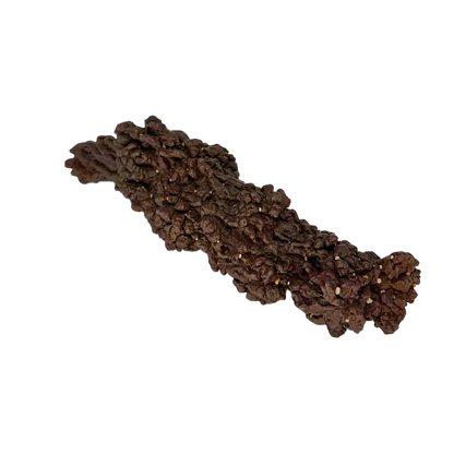 Giant Coprolite – Rocks & Fossils