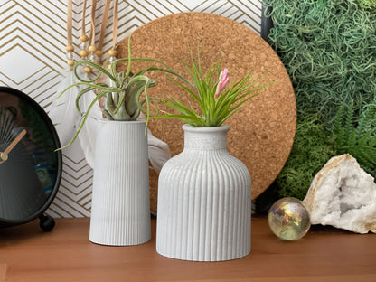 FAT MINI VASE | AIR PLANT HOLDER – Planter