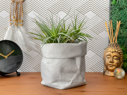 Paper Bag Succulent Planter Pot – Planter