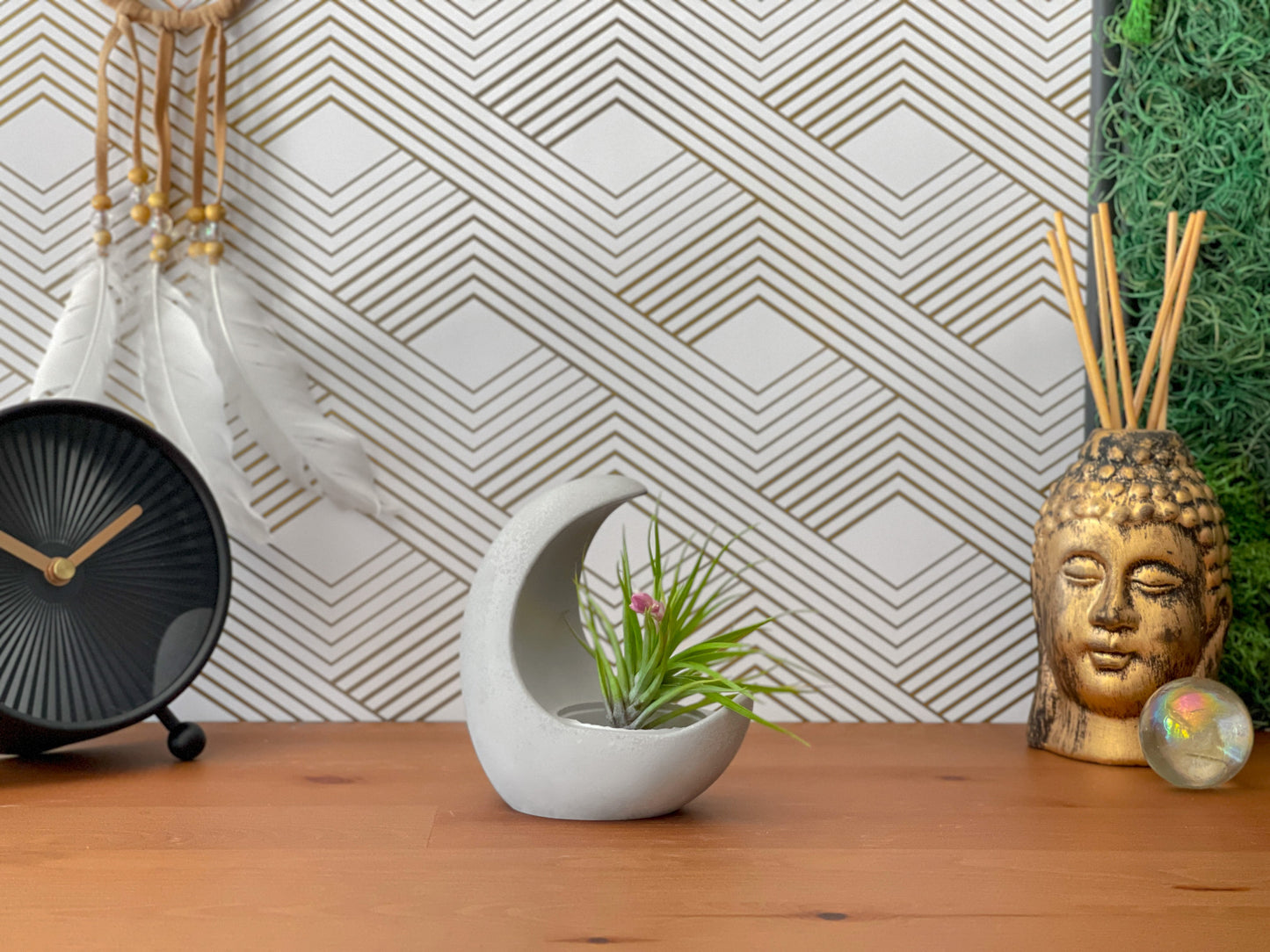 YOUNG MOON AIR PLANT HOLDER – Planter
