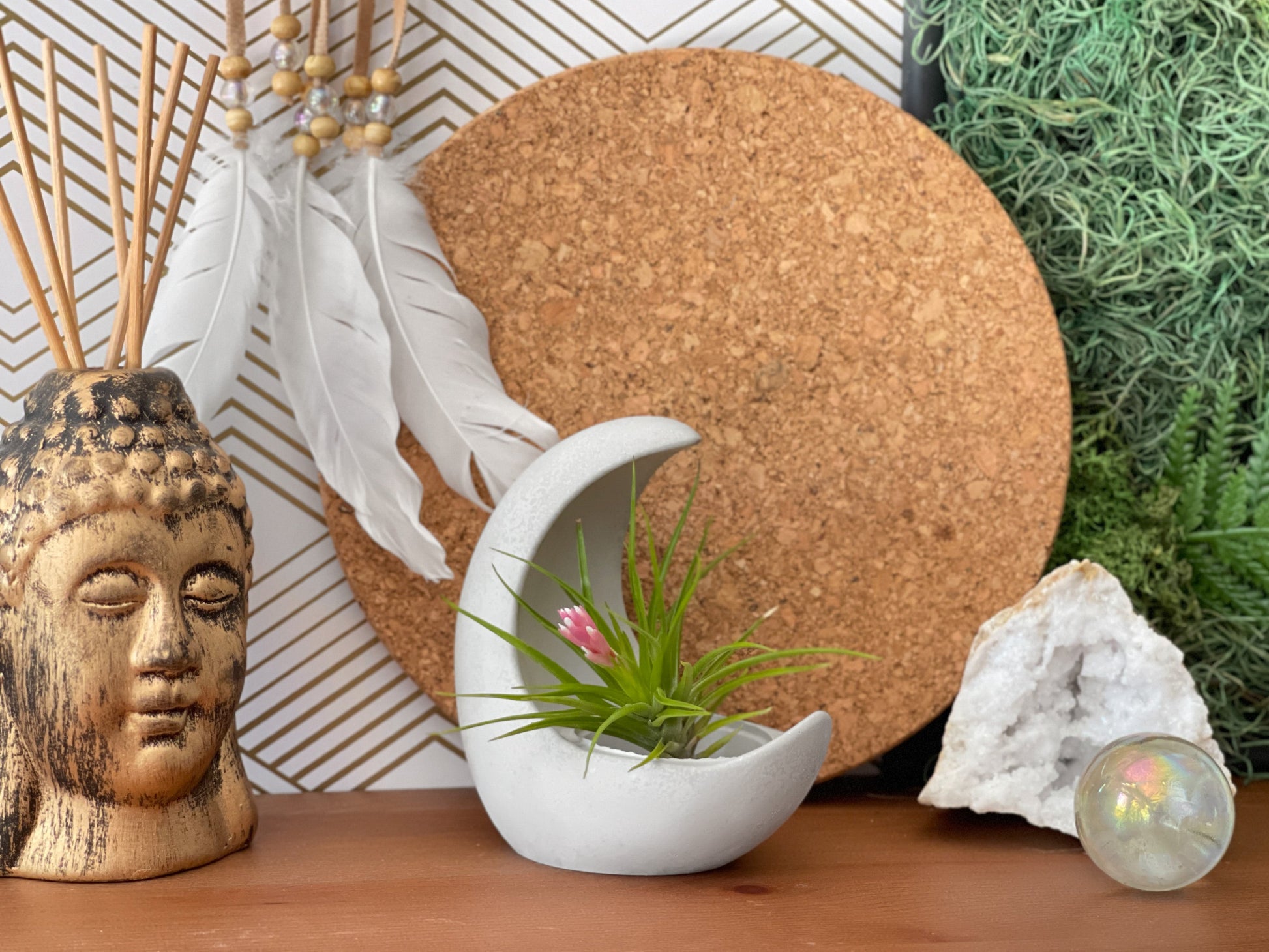 YOUNG MOON AIR PLANT HOLDER – Planter