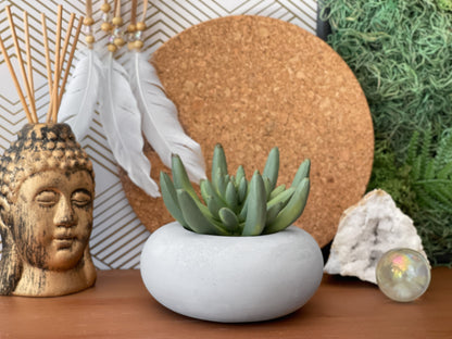 Perfect Succulent Planter – Planter
