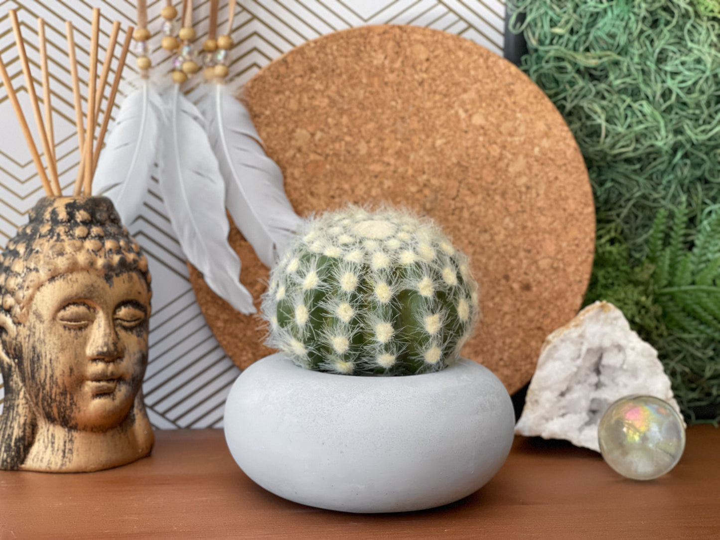 Perfect Succulent Planter – Planter