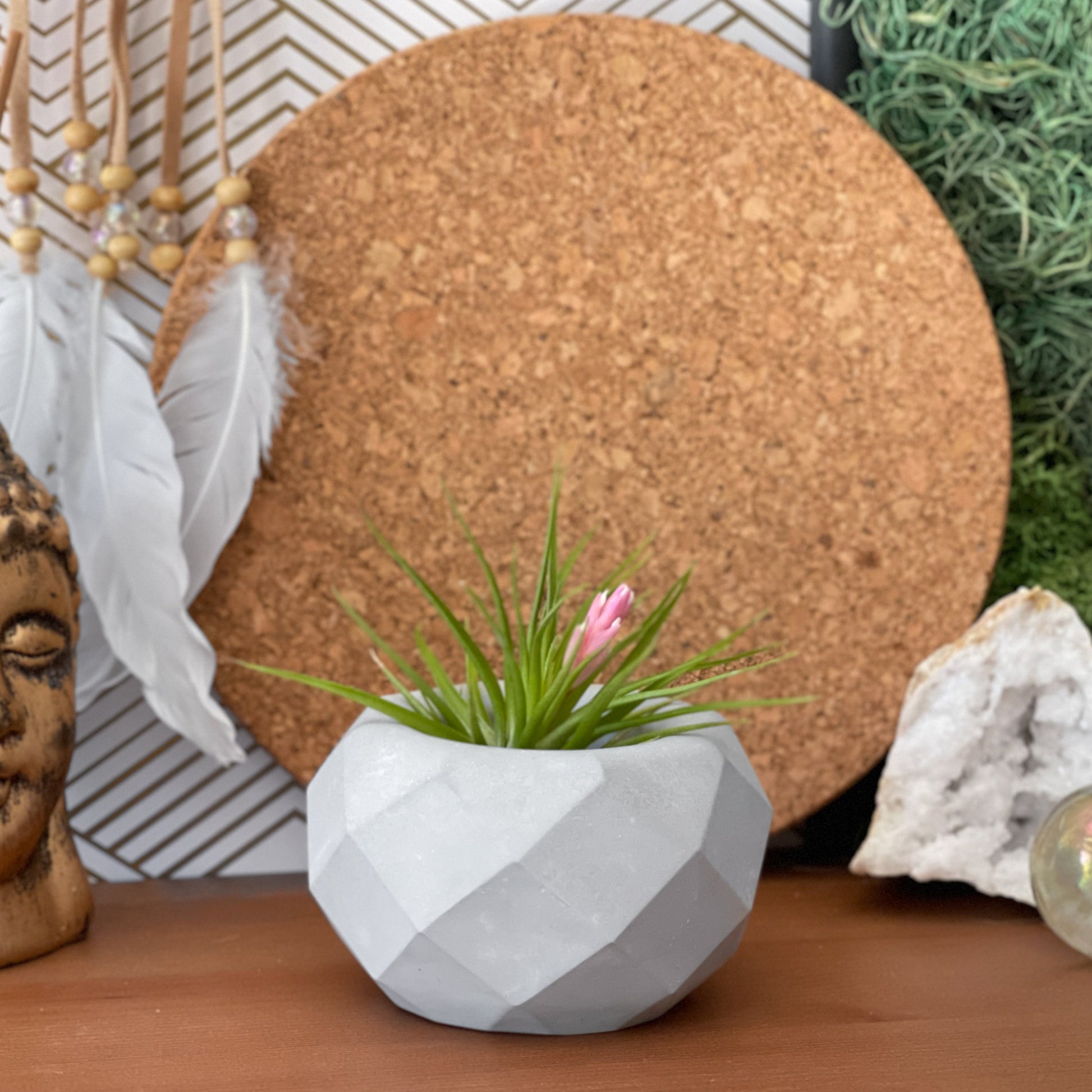 Geometric Air Plant Holder – Planter