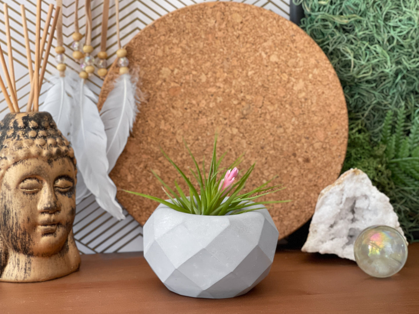 Geometric Air Plant Holder – Planter