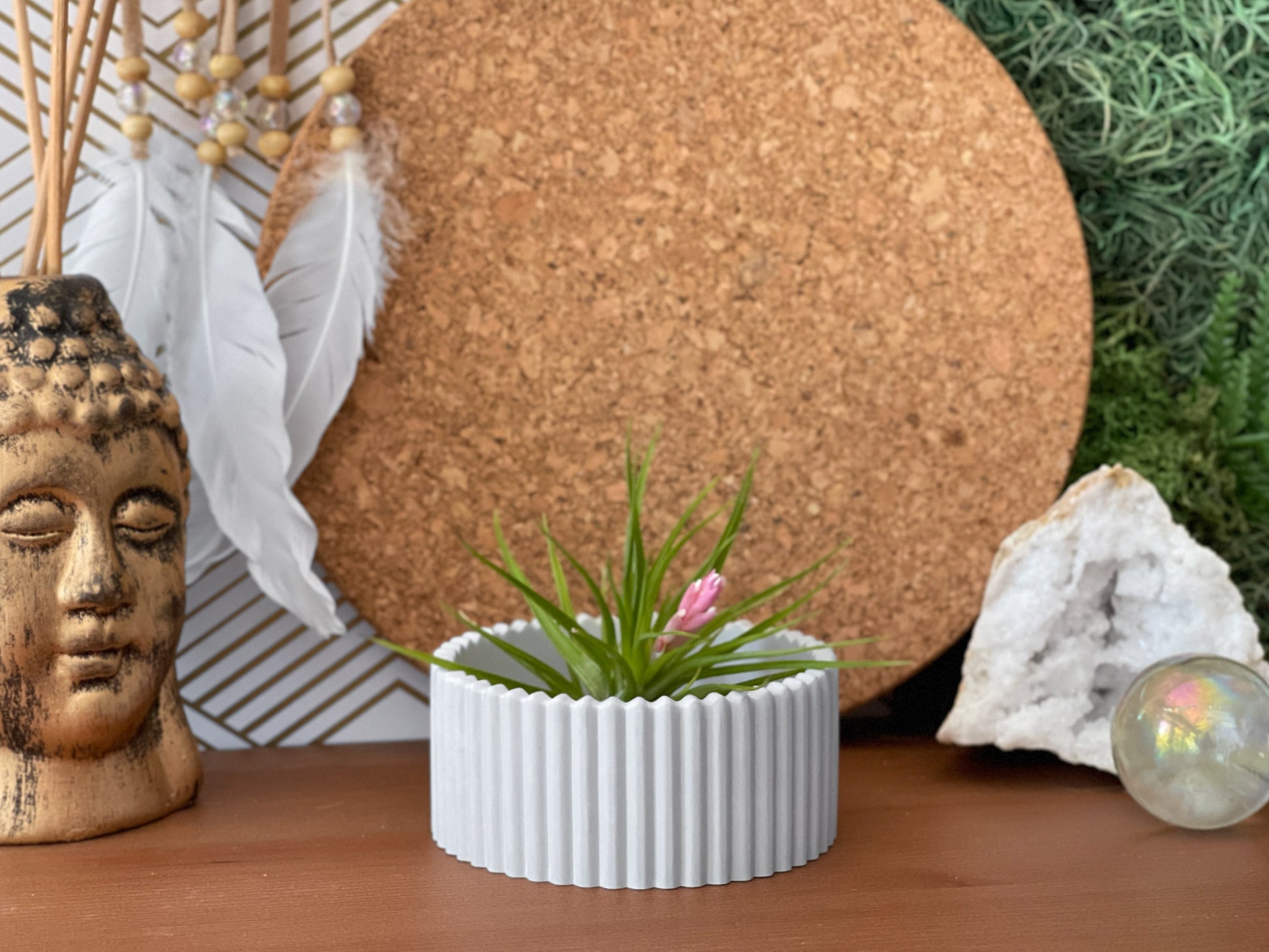 Scandinavian Air Plant Holder | Succulent Planter – Planter