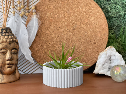 Scandinavian Air Plant Holder | Succulent Planter – Planter