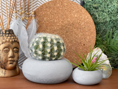 Perfect Succulent Planter – Planter