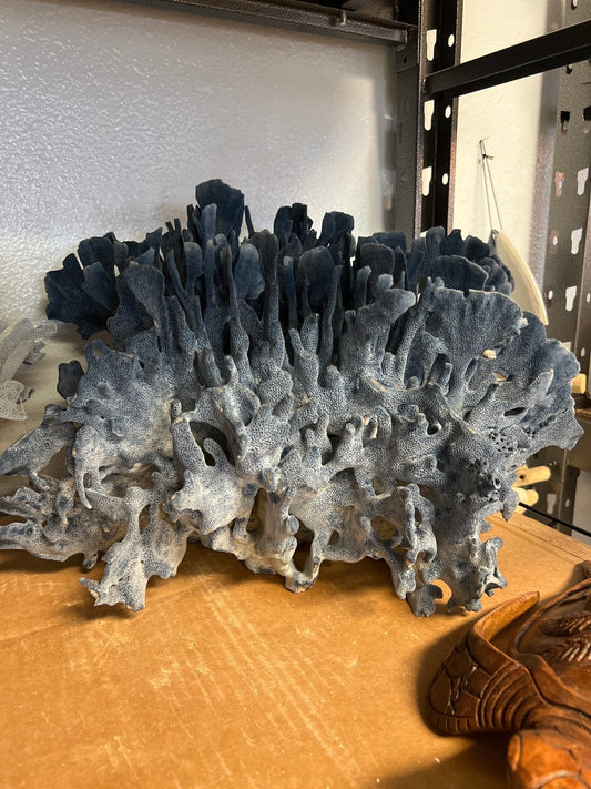 Vintage Blue Ridge Coral- 18"