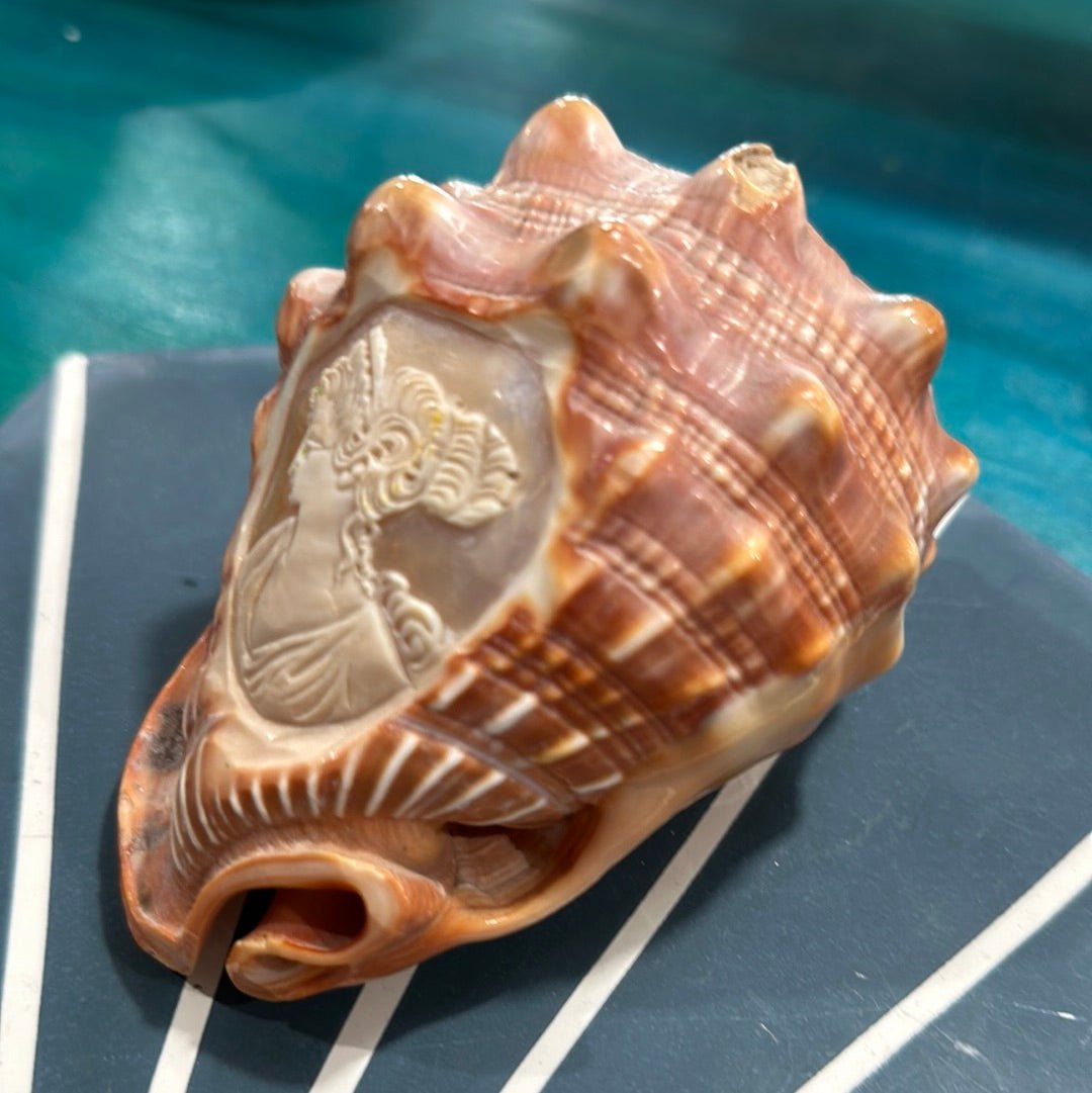 Vintage Carved Woman Cameo Helmet Seashell –