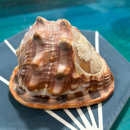 Vintage Carved Woman Cameo Helmet Seashell –