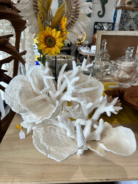 Vintage Staghorn & Cup Coral Sculpture- 17"
