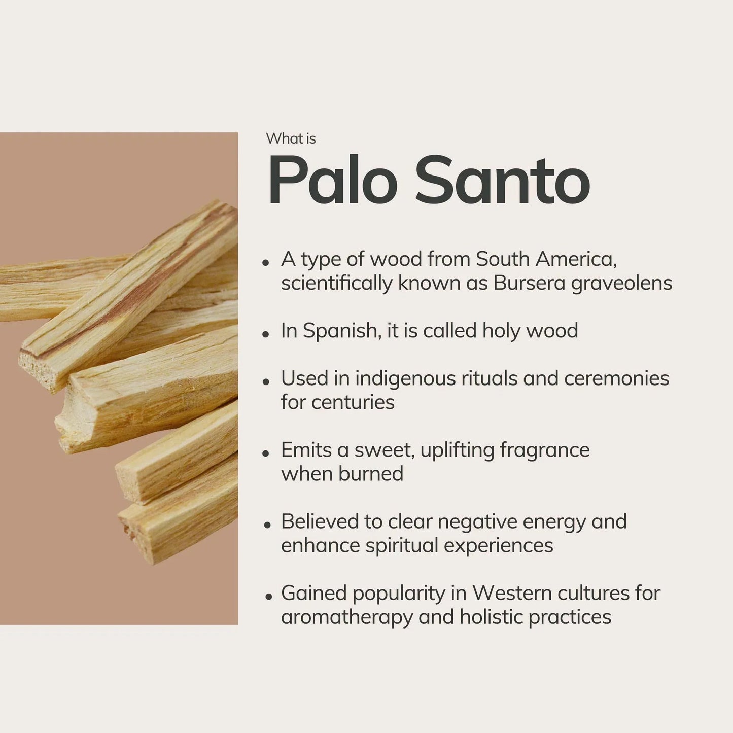 Palo Santo Incense Sticks – 30 Mini Hand-Rolled Sticks from Peru (4.2") – Incense