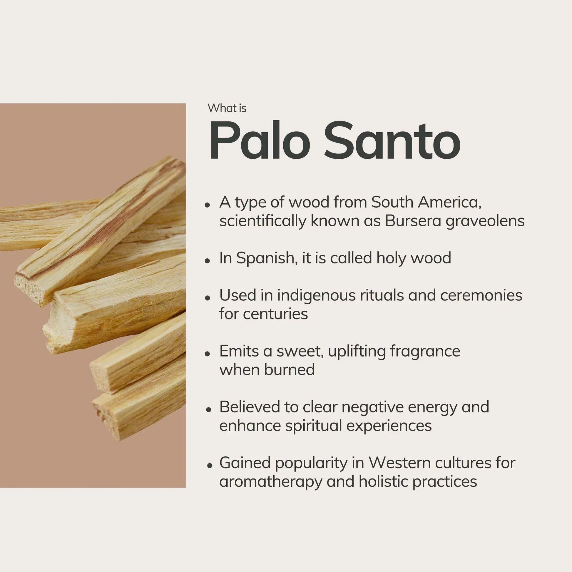 Palo Santo Incense Sticks – 30 Mini Hand-Rolled Sticks from Peru (4.2") – Incense