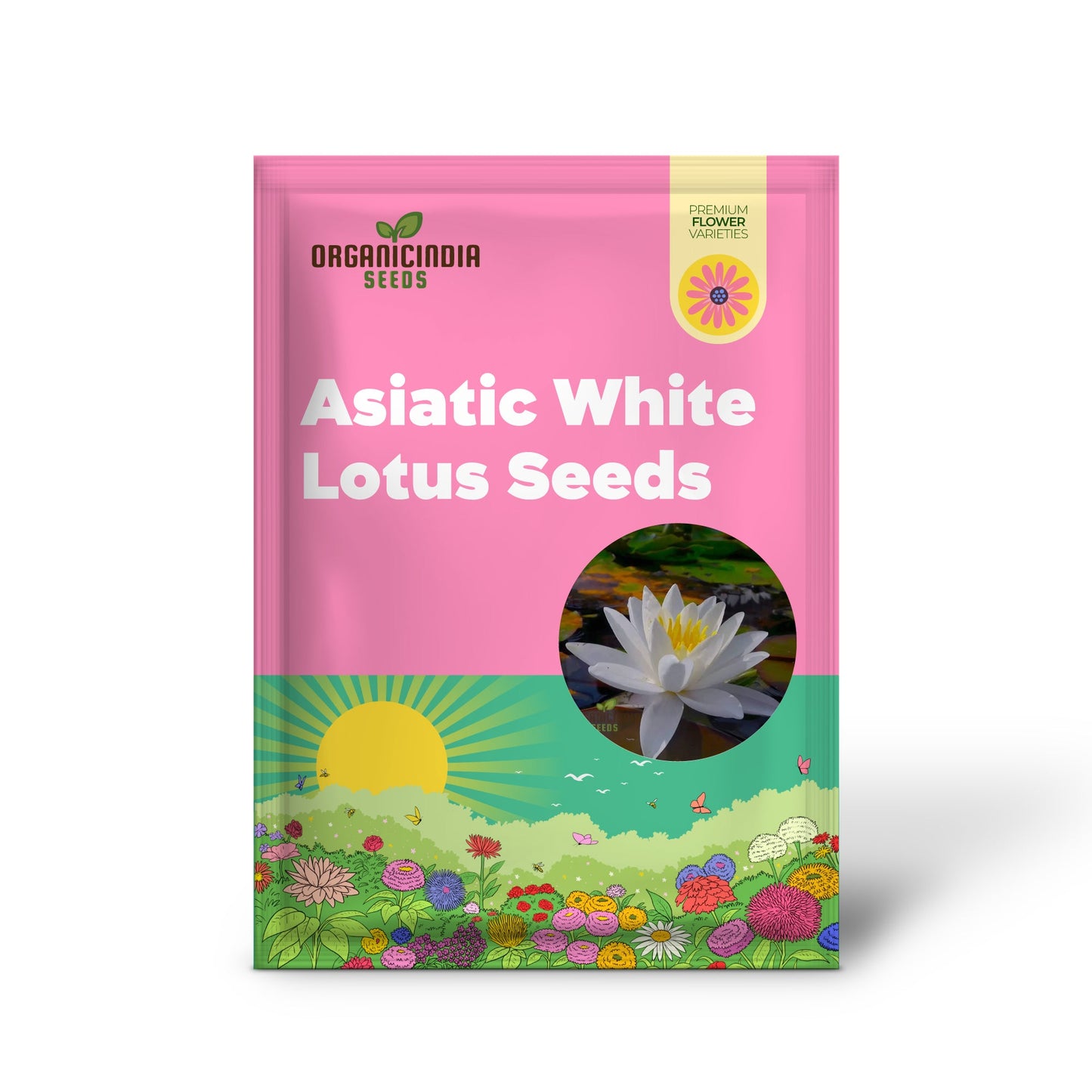 Asiatic White Lotus Seeds for Planting  All Seasons, Easy to Grow, Perfect for Gardening