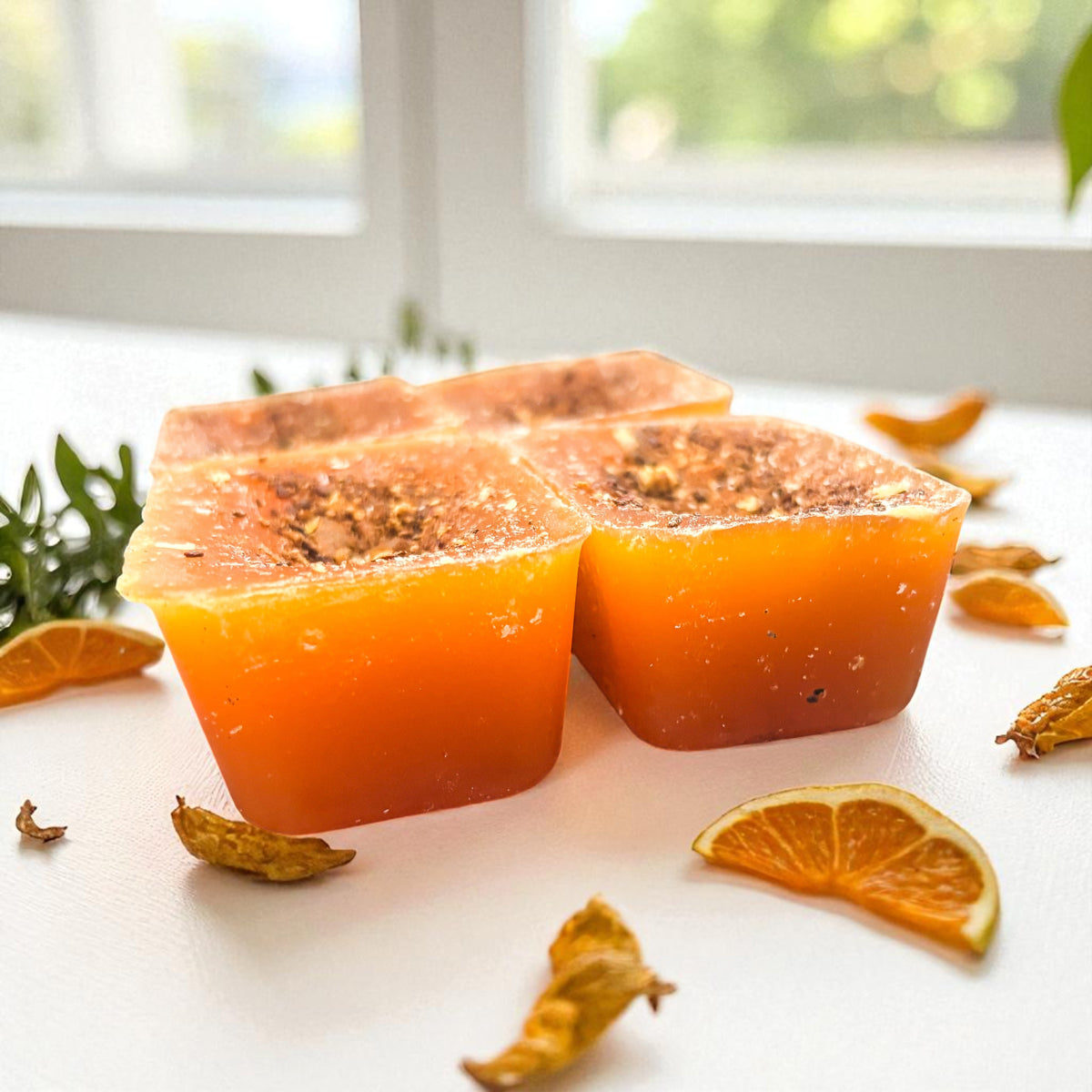 Orange Clove XL Wax Melts, Spiced Citrus