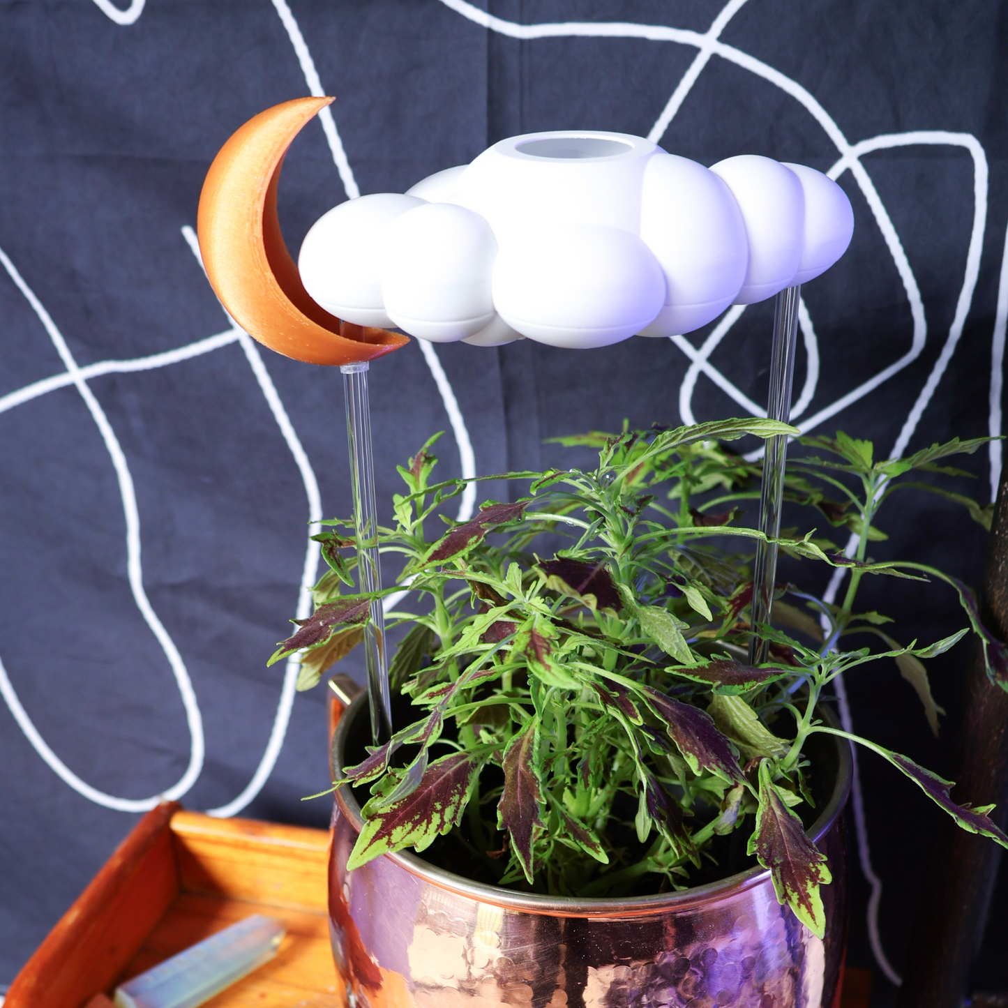 Original Dripping Rain Cloud with Moon Charm – houseplant accessory